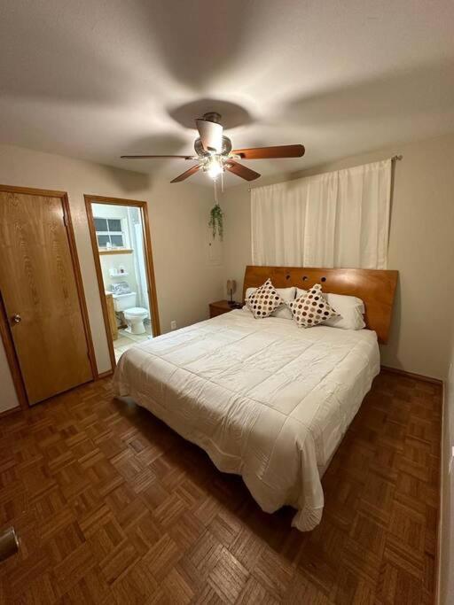 Mcallen 4Br With Pool, Shopping & More Exteriér fotografie