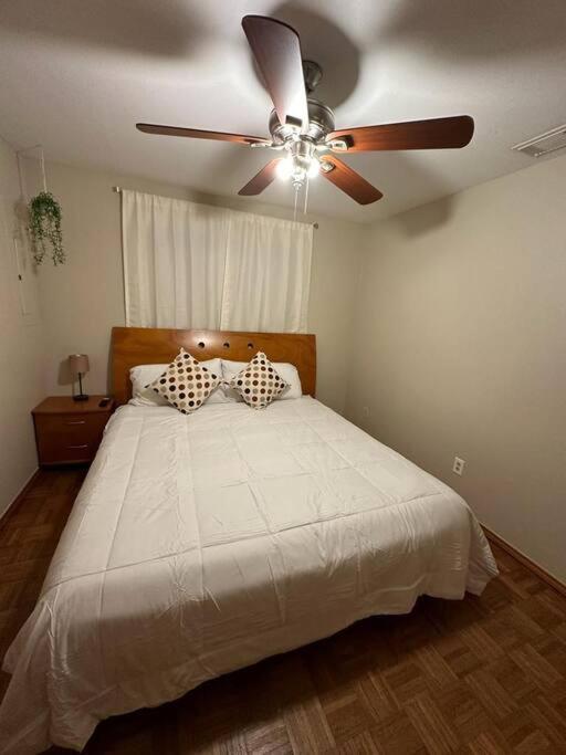 Mcallen 4Br With Pool, Shopping & More Exteriér fotografie