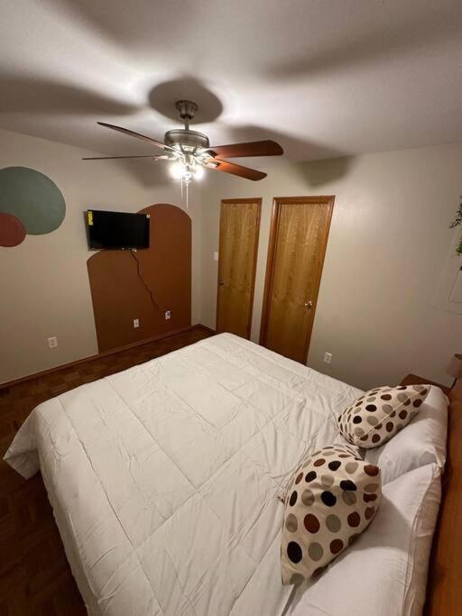 Mcallen 4Br With Pool, Shopping & More Exteriér fotografie