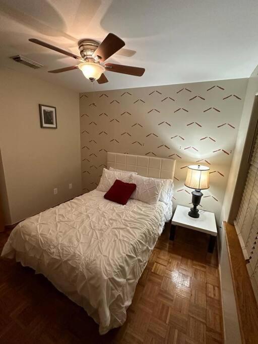 Mcallen 4Br With Pool, Shopping & More Exteriér fotografie