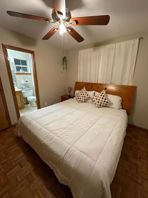 Mcallen 4Br With Pool, Shopping & More Exteriér fotografie